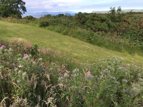 Causeway Coast Country Cottage, Pet-friendly