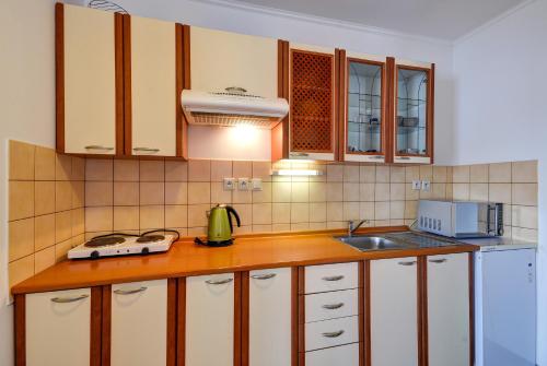 Konyha, Apartmány u Adama (Apartmany u Adama) in Rokytnice V Orl. Horach