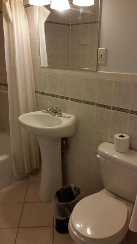 Budget Motor Inn- Stony Point - 화장실