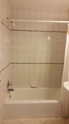 Budget Motor Inn- Stony Point - 샤워실