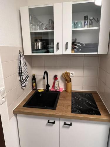 Cozy Suite Dresden, Drážďany (fotografie 7)