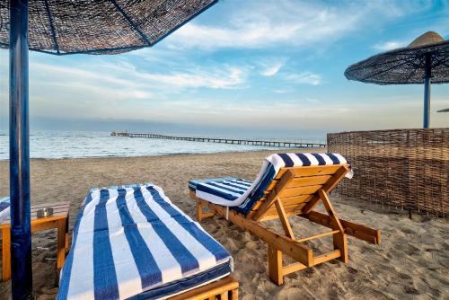Surrounding environment, Amarina Queen Resort & Aqua Park Marsa Alam in Qesm Marsa Alam