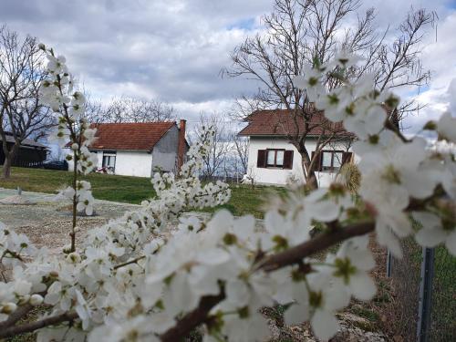 Holiday house Giovanna - Vojnić