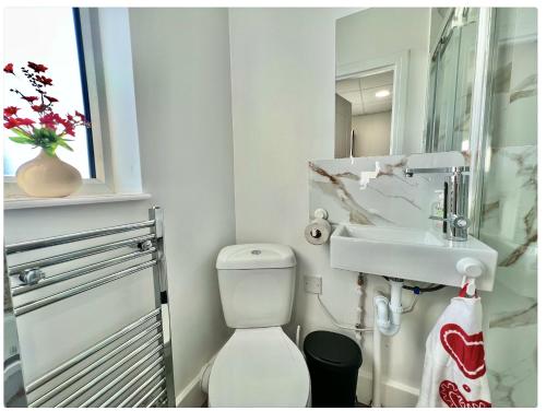 Lux 2 bed Apartment ManCity Stadium, COOP Arena, Picadilly, Манчестер (фото 8)