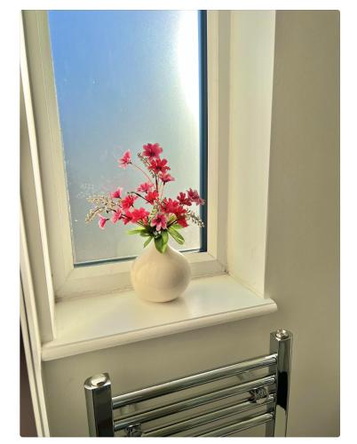 Lux 2 bed Apartment ManCity Stadium, COOP Arena, Picadilly, Манчестер (фото 7)