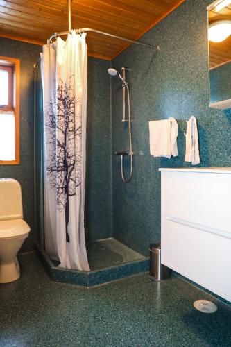 Akureyri H.I. Cottages - image 13