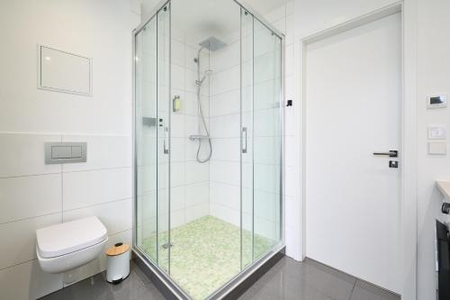 Deluxe Apartments Friedrichstrasse Room Type - Two-Bedroom Apartment with air condition D