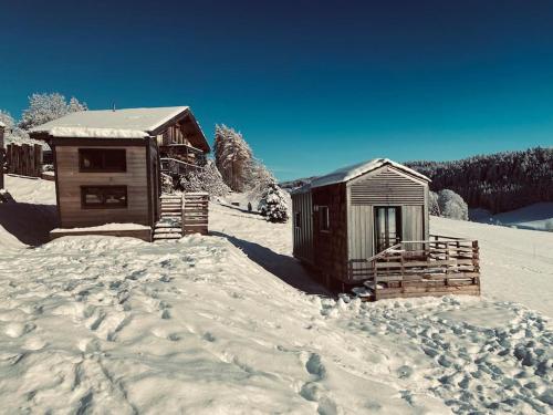Tiny house Pitta in Montbenoit