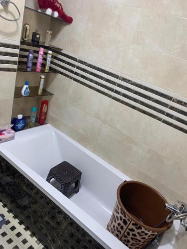 Luxurious apartment Luxurious apartment