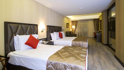 1 king bed, 1 twin bed, 1 sofa bed