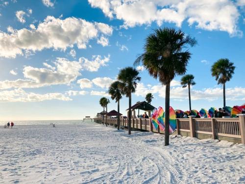 4BD 2 MI to USF Free Pool + 24 Hour Gym 4BD 2 MI to USF Free Pool + 24 Hour Gym