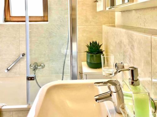 SEEnsation Classic - Mainaublick SEEnsation Classic - Mainaublick