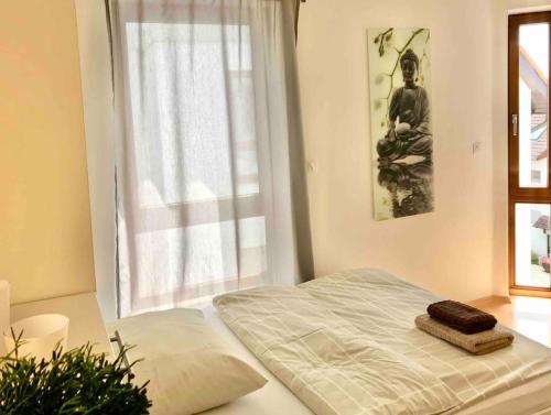 SEEnsation Classic - Mainaublick SEEnsation Classic - Mainaublick