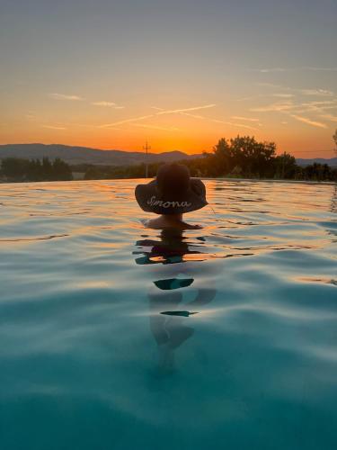 Навколишнє середовище, Agriturismo iOlive Tuscany appartamento LECCINO in Санта Лус