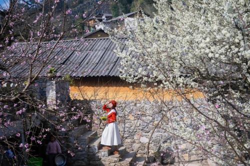 Nhà Cổ Lao Xa Homestay Hmong