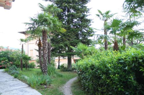 Apartments Rezine - image 2