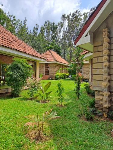 Viesnīcas āriene, Od Kidi Cottages in Migori