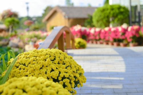 Greenlife Village Phú Quốc