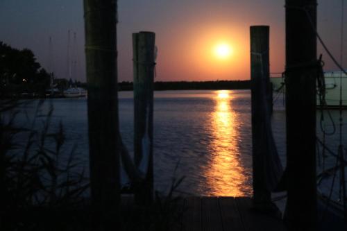 4pers House Christine w Sauna Winter garden & fishing pier - image 5