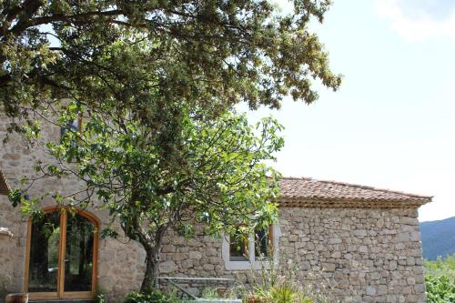 Viesnīcas āriene, Le Puech, chambre d'hôtes en Cévennes (Le Puech, chambre d'hotes en Cevennes) in Saint-André-de-Majencoules