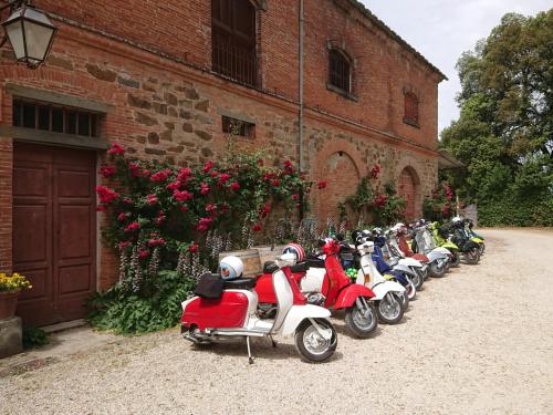 Fattoria Santa Vittoria Apartment Upupa