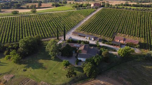 Fattoria Santa Vittoria Apartment Upupa