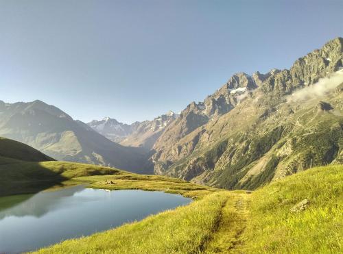 Les quatre marmottes - Location saisonnière - Villar-d'Arêne