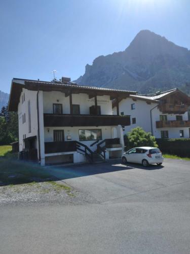 Alpenstern in Biberwier, Österreich