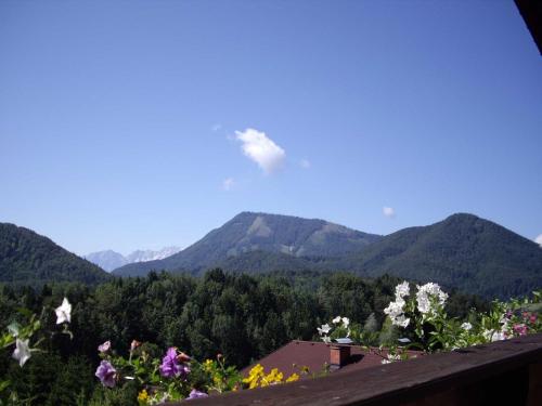 景觀, Angela Siedl in 埃本瑙