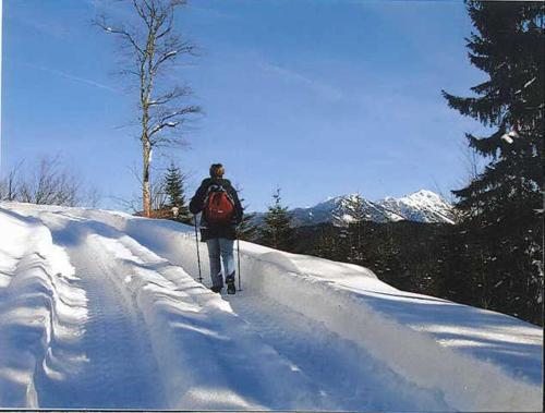 Oberbach – Göstling/Ybbs, FL