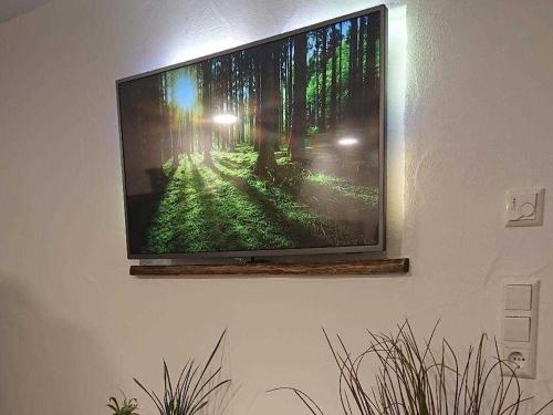 Ferien im Heckenland in 肯辛根