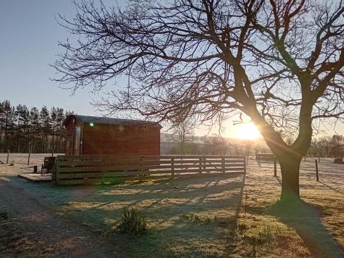 Sunny Mount Shepherd's Hut in Long Marton