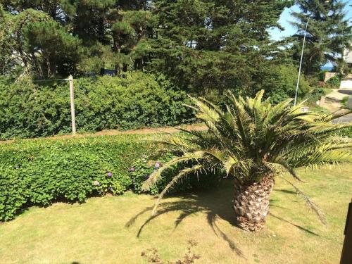 Maison familiale 12p à pied plages de Port-Blanc Maison familiale 12p à pied plages de Port-Blanc