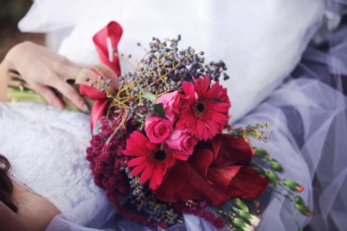 Emdoneni Lodge with Zululand Cat Conservation Project Emdoneni Lodge with Zululand Cat Conservation Project