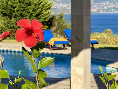 Villa Dionysos, Spartia, Kefalonia