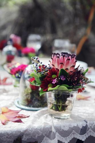 Emdoneni Lodge with Zululand Cat Conservation Project Emdoneni Lodge with Zululand Cat Conservation Project