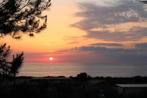 Akamas Lookout, Peyia (Foto 7)