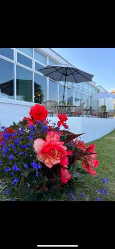 Majestic Hotel - image 5
