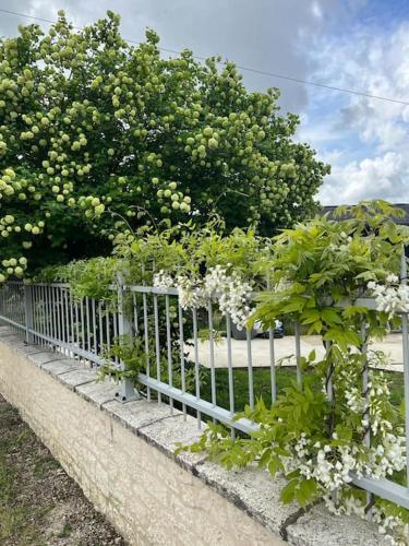 Villa dans son écrin de verdure, piscine privée