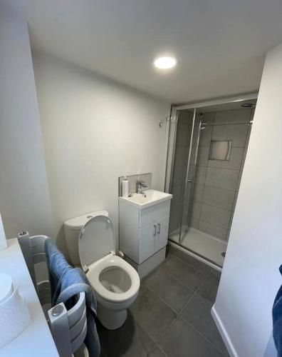 Ground floor basement apartment in Ebbw Vale