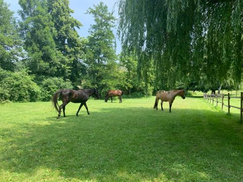 Gite Equestre Drôme des Collines