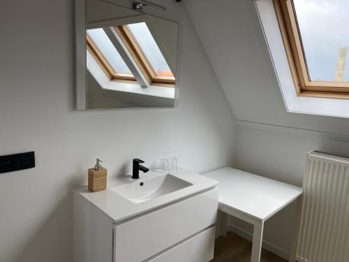D28 Bruges - image 2