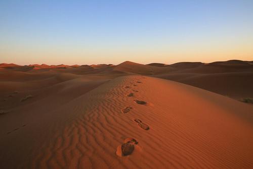 Sahara Berber Camp - Mhamid Discovery Camp