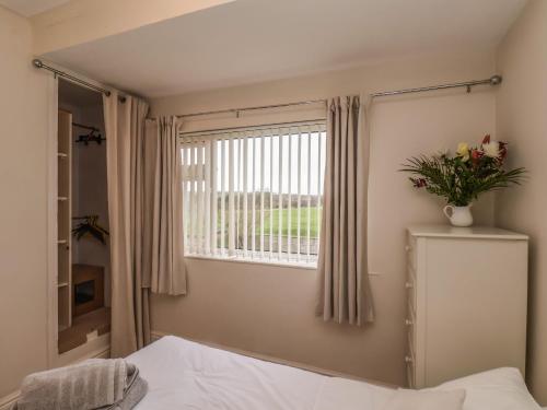 Belvedere House - image 3