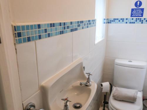 Belvedere House - image 7