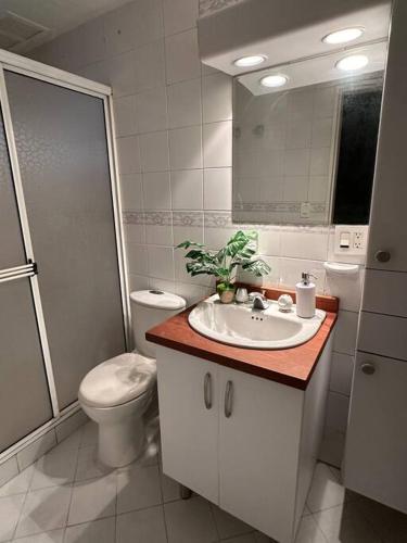 Cozy apartment in Laureles, Medellín (foto 7)
