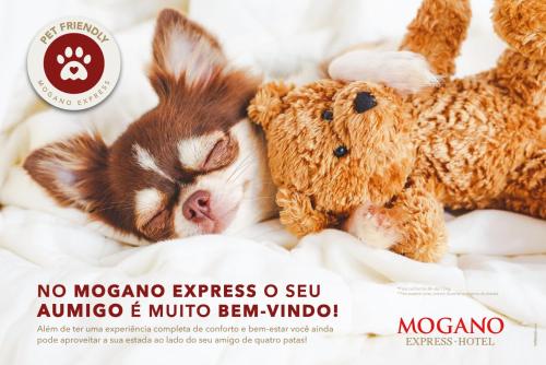 Mogano Express Hotel - PET FRIENDLY- ELETROPOSTO