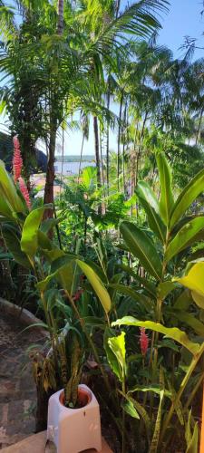 Casa Na Floresta - Itacaré