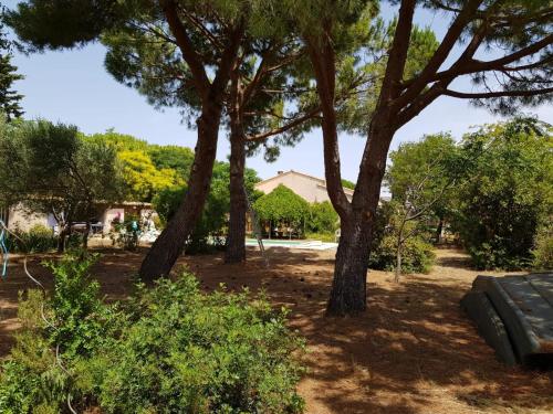 Villa piscine et grand jardin bord de mer - Location, gîte - Frontignan