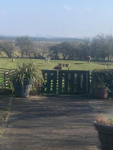 Stunning Barn Conversion next to Horse Field sleeps 10